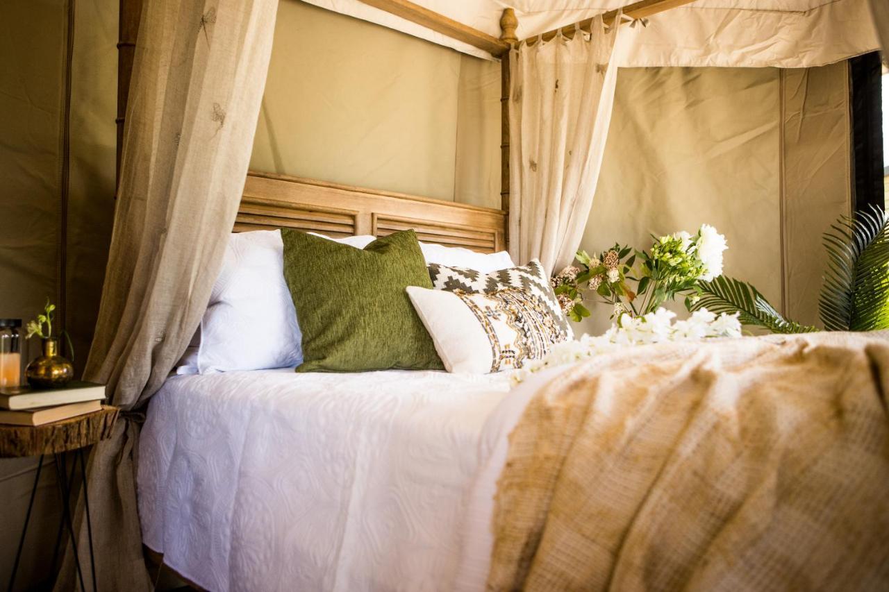 Orchard Valley Glamping Otorohanga Exterior photo